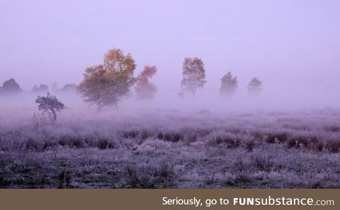 Hupsel, the Netherlands