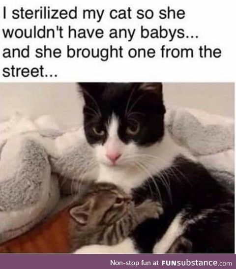 Never underestimate maternal instinct