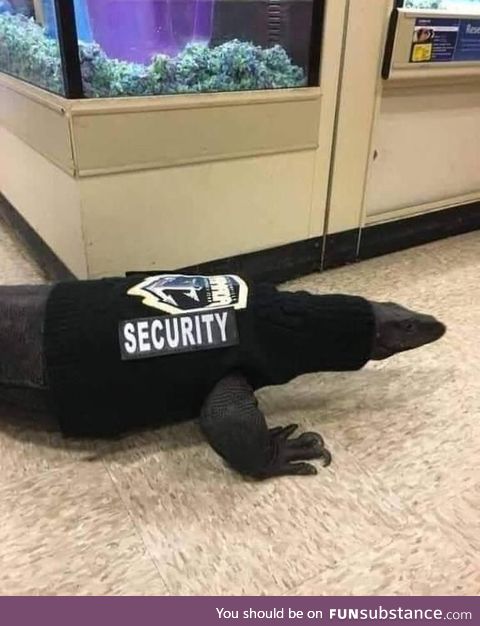 Security lizard