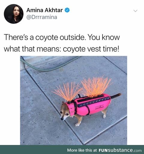 Anti-yote armor