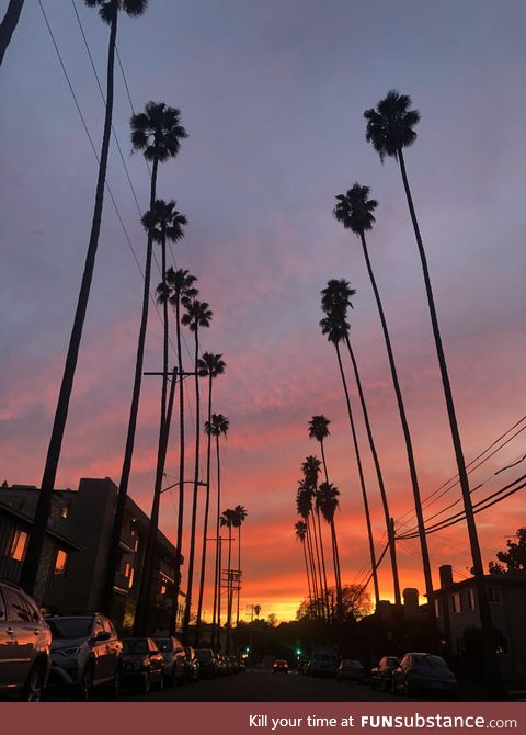 Los Angeles sunset