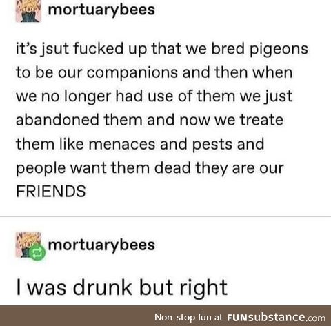 Pigeons