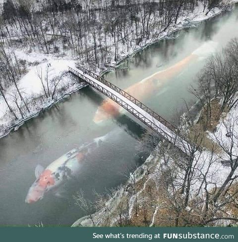 Fishing at Chernobyl