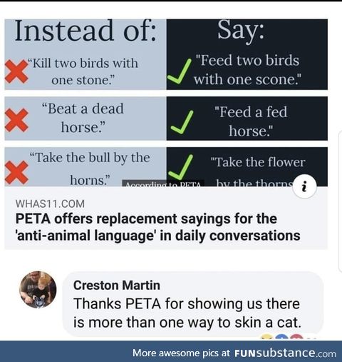 PETA at it again