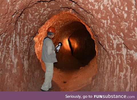 A tunnel dug by a giant sloth, circa Brazil