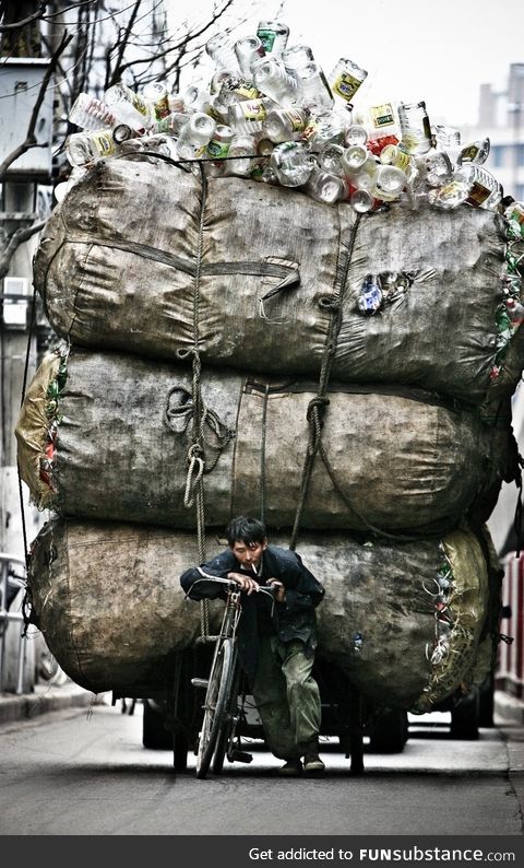 Recycling in Shanghai level 439932