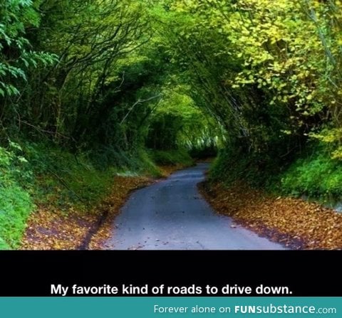 Great road to drive down