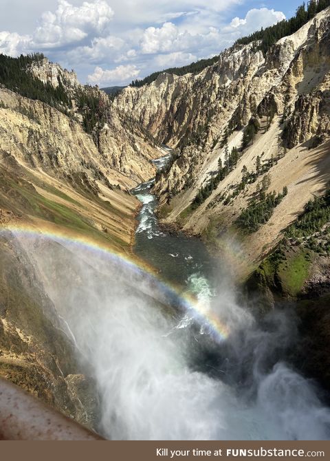 Canyon at Yellowstone national park!