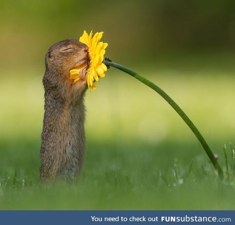 Take time to smell the flowers