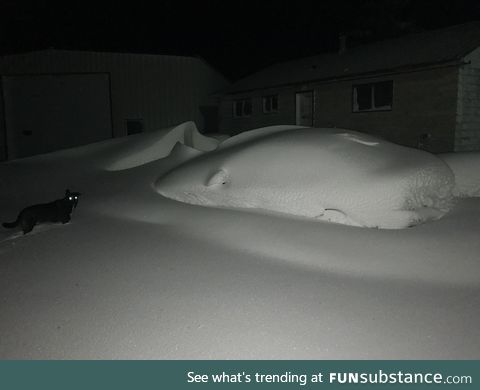 Car is a bit snowed in this morning