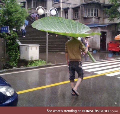 Just a guy walking down the street using a leaf as an umbrella