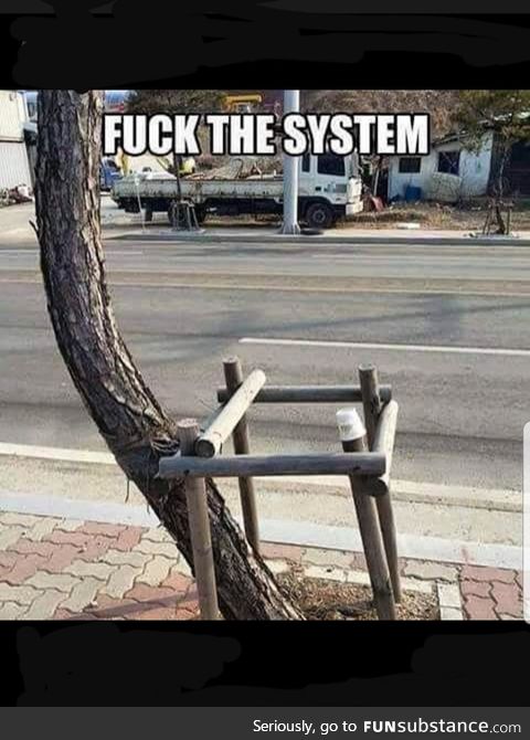 f*ck the system