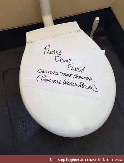 Please don't flush