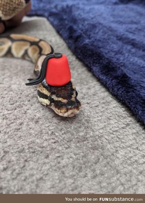 Making Hats For Snakes