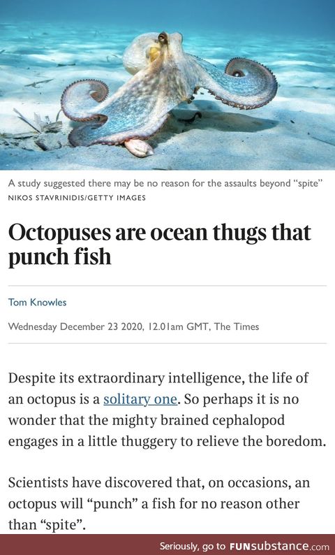 The fish community has had enough with the octopus abuse