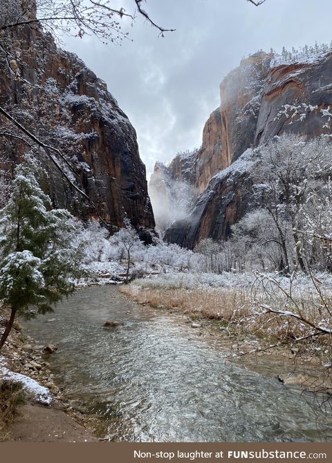 Zion National Park after a pretty amazing snowfall. [OC]