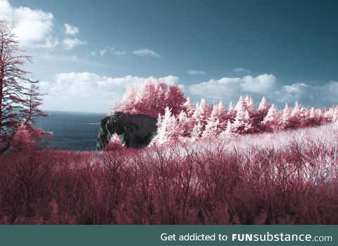 The Oregon Coast, in infrared