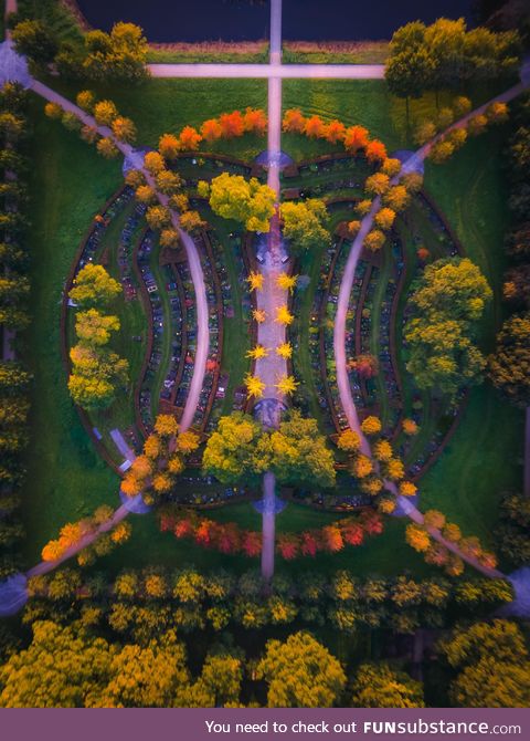 Symmetry from above