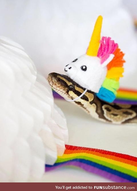 Making Hats For Snakes