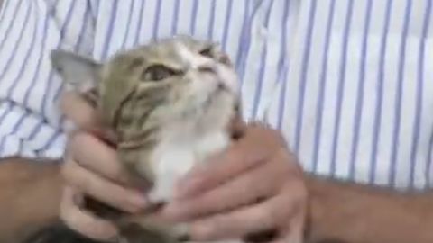 Zero Context #3 - Squish. That. Cat