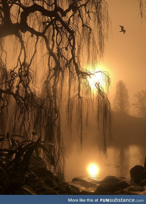 Cheap sunglasses in front of iPhone lens makes for eerie warmth (oc)