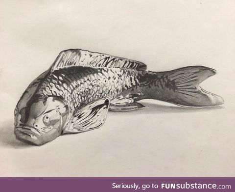 I drew a picture of a fish!