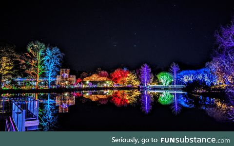 Got this shot during the light show at Lewis Ginter Botanical Garden