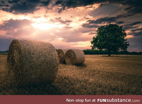 Sunset in the fields of Weinheim - Germany