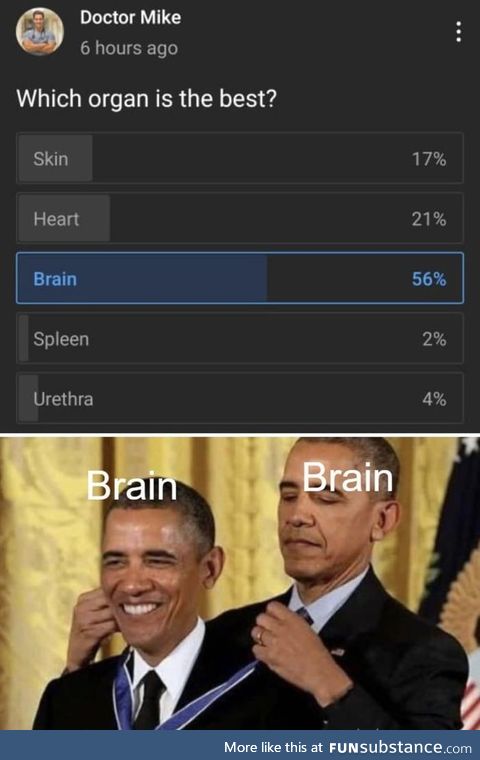 brain