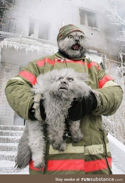 Cat finds baby Sasquatch in an abandoned building