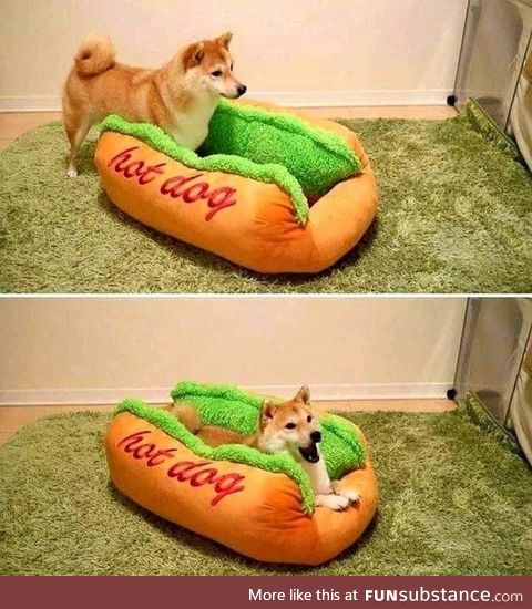 Hot dog