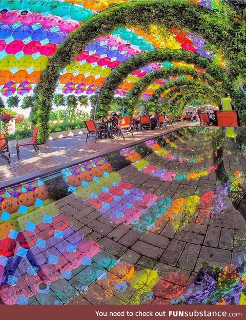 This reflection vortex at the Dubai Miracle Garden