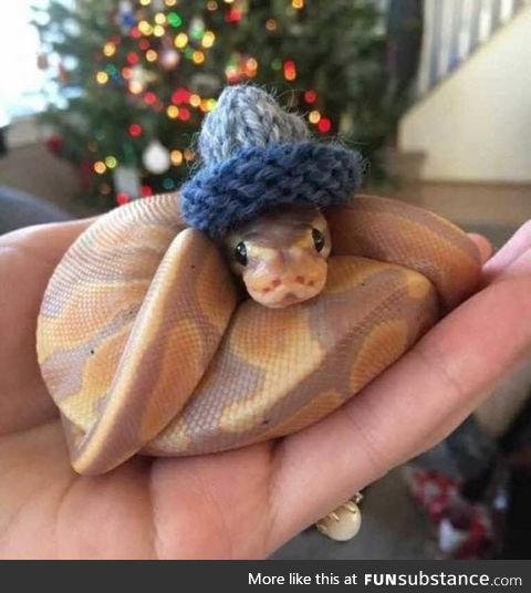 Making Hats For Snakes