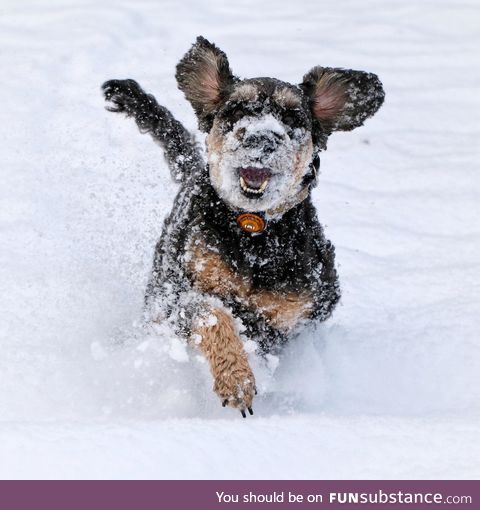 Snowball incoming!