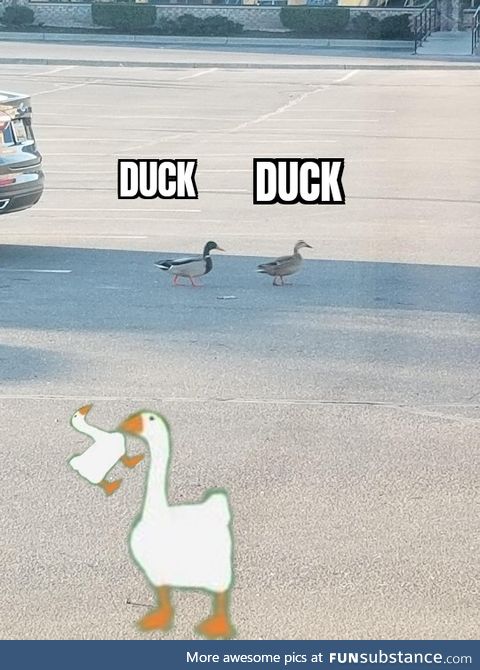 Untitled Goose Meme