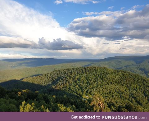 A view of the Blackforest