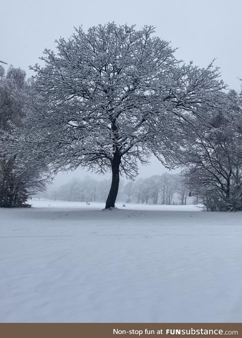 Been furloughed for far too long, decided a snow day was a day to get out of the flat -