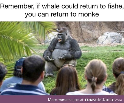 Monke give speech