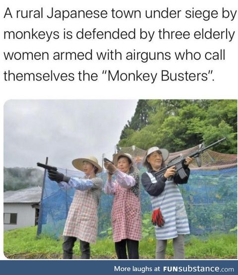 Monke busters, the elder guardians