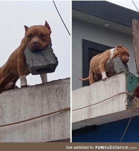 Stahlzahn, Sentinel of Concrete Hills