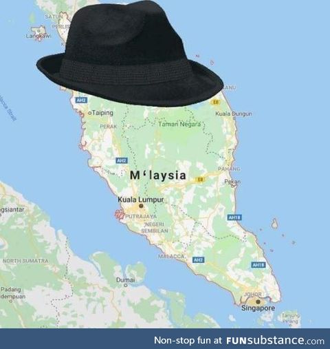 M'lady