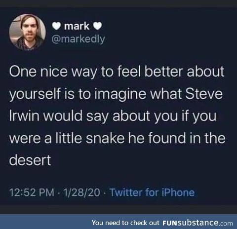 The Steve loves you