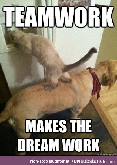 Teamwork