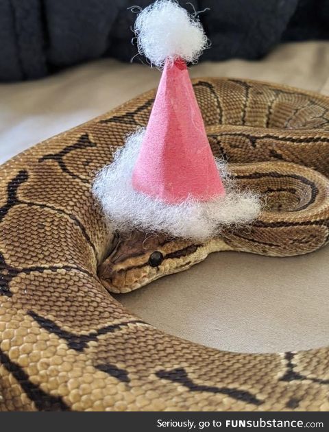 Making Hats For Snakes