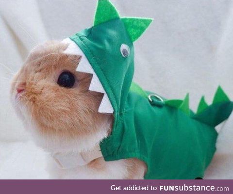 Rabbitsaurus Rex