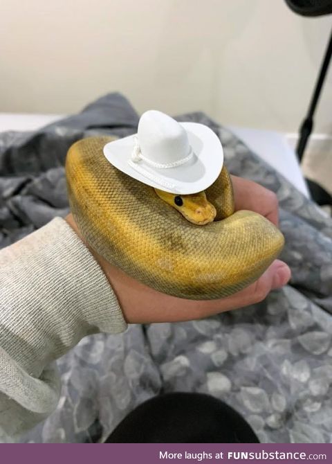 Making Hats For Snakes