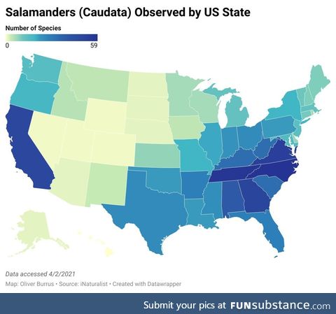 The Salamander Science we've all been waiting for