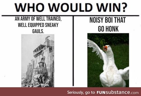 That was a real fowl defeat.