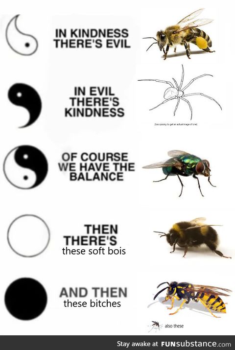 Nobody likes wasps