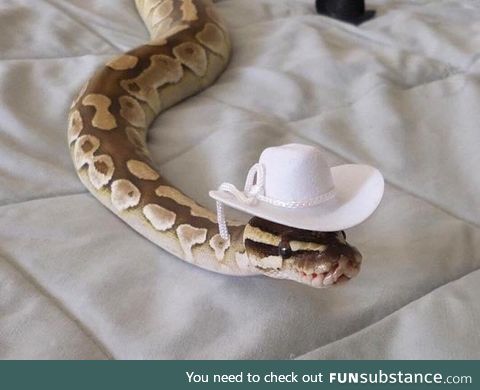 Making Hats For Snakes